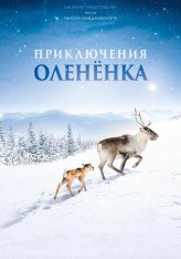 Приключения олененка / A Reindeer's Journey / Aïlo: Une odyssée en Laponie (2018) BDRip 1080p | Иван Затевахин Приключения олененка / A Reindeer's Journey / Aïlo: Une odyssée en Laponie (2018) BDRip 1080p | Иван Затевахин